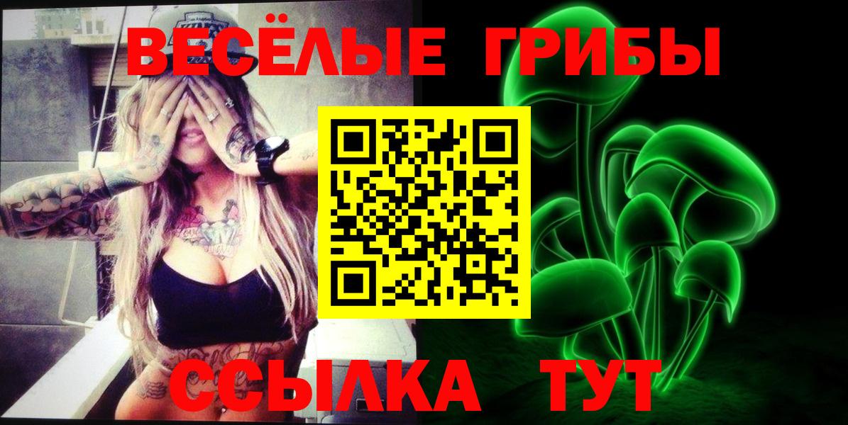Псилоцибиновые грибы GOLDEN TEACHER Набережные Челны