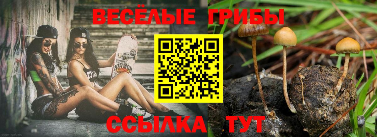Галлюциногенные грибы MAGIC MUSHROOMS  Галлюциногенные грибы прущие грибы  Вход с VPN  Набережные Челны 